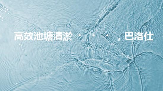 高效池塘清淤，巴洛仕設(shè)備助您一臂之力